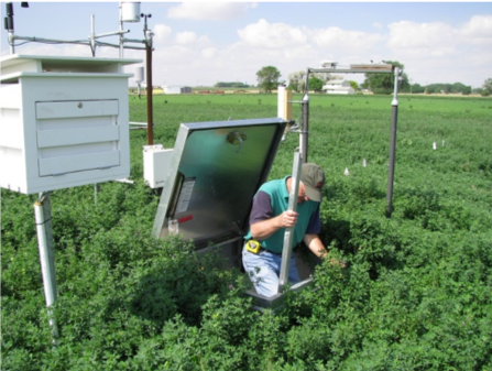 Operation over an in situ lysimeter